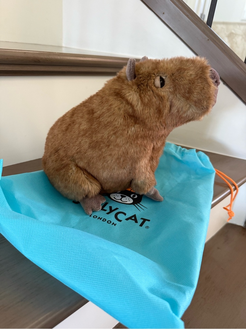 *NWT* Jellycat Clyde Capybara - Picture 2 of 3